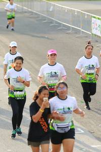 BIB: 
                            <button type="button" onclick="openModal(3554546)" class="btn btn-primary btn-sm float-right btn-popup" data-toggle="modal" data-target=".modal-high-quality">
                        <i class="fas fa-shopping-cart"></i> Add to Cart
                    </button>
                                            <button type="button" onclick="isThisMe(3554546, true)" class="btn btn-success btn-sm float-right btn-popup btn-isme hidden" data-toggle="tooltip" data-placement="bottom" title="นี่คือรูปของคุณใช่ไหม คลิกที่นี่เพื่อเอาเข้าอัลบั้ม">
                        <i class="fas fa-plus"></i> Add to album
                    </button>
                    <button type="button" onclick="isThisMe(3554546, false)" class="btn btn-warning btn-sm float-right btn-popup btn-isnotme hidden">
                        <i class="fas fa-ban"></i> Remove from album
                    </button>